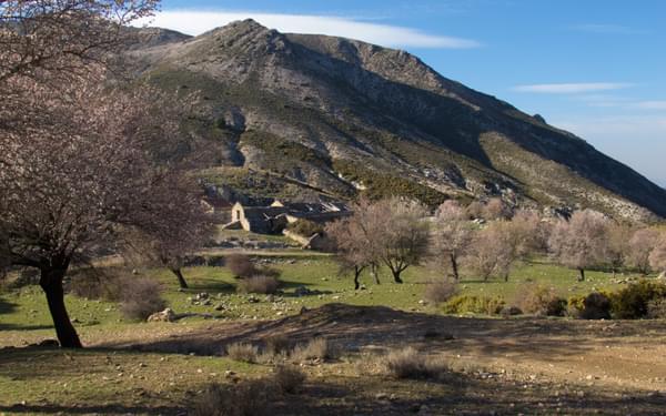 Almond trees surround the Haza del Aguadero ruined farm in the Sierra Tejeda