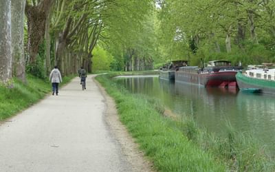 The history of the Cathars along the Canal du Midi