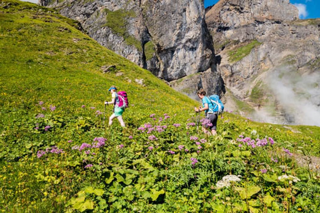 Walking poles in use on the Alpine Pass Route