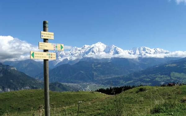 Wildlife spotting in the Haute Savoie
