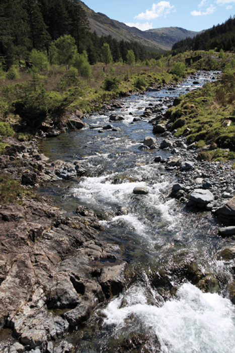 Ennerdale shrub lined river
