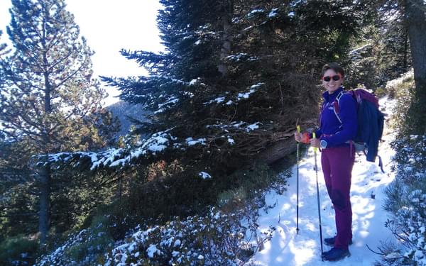 Snowy paths on the mountainside