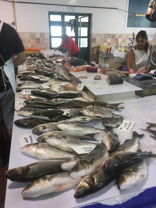 Amazing variety of fresh fish in local market