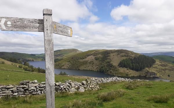 Above Llyn Clywedog