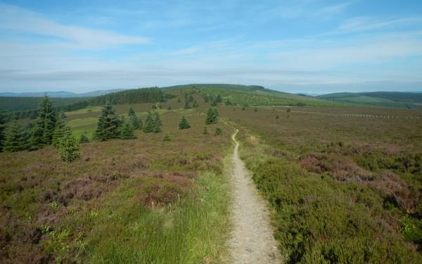 Drove Road over Minch Moor