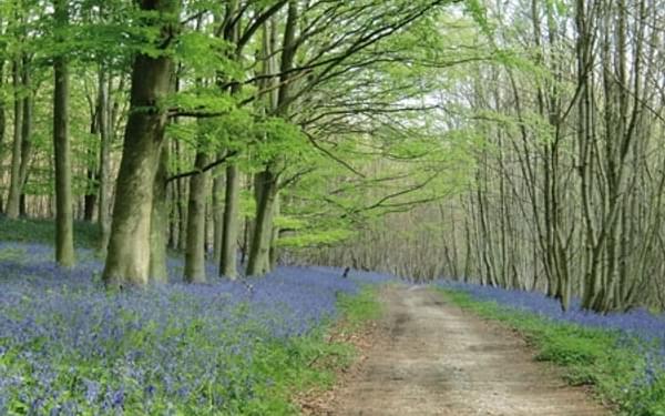 A journey along the North Downs Way is a truly memorable experience