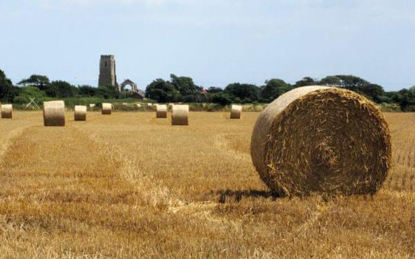 Suffolk is the ideal place for a quick and easy long-distance walking holiday
