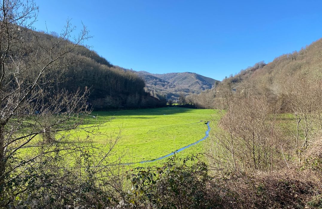 Spring greens in a winter valley