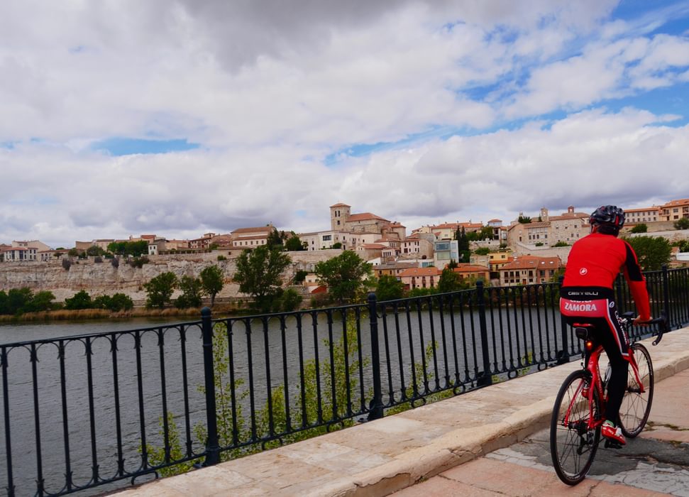 Local Escort Into Zamora