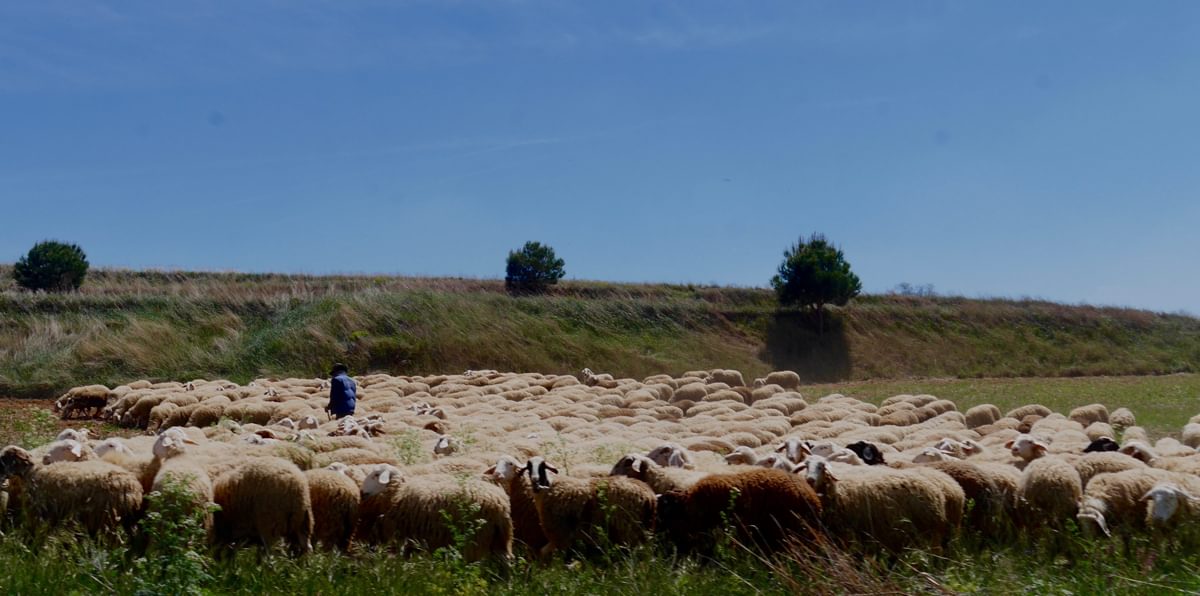 Spanish Countryside