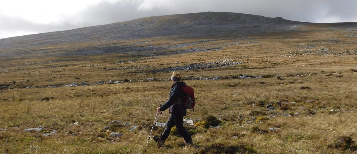 Mt Usborne Highest Point In The Falklands Is A Long Whaleback Mountain