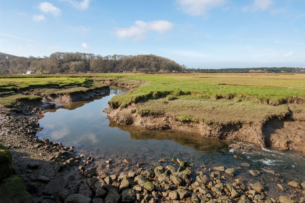 Landimore Marsh