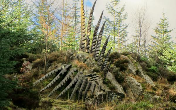 13 Some Fern A Sculpture By Kerry Morrison In Grizedale Forest