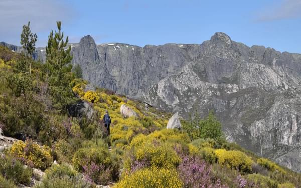 Walking among a plethora of flowers in Portugal