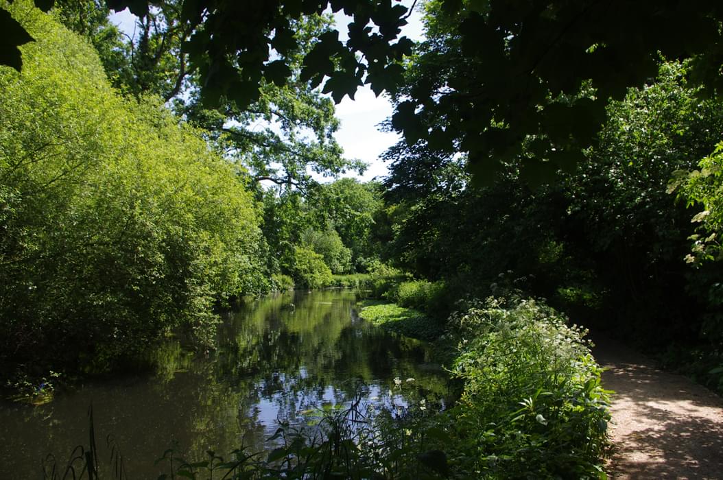 A Quiet Stretch Of The Wandle In Watermeads Nature Reserve