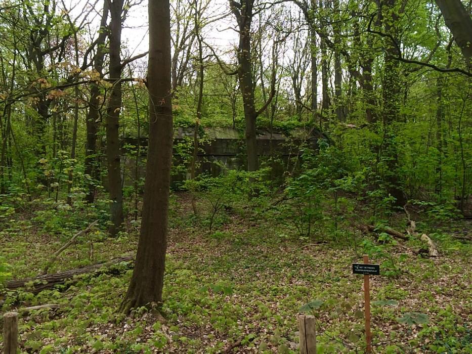 German bunker now a reservation for bats (vleermuisreservaat) near Hoek van Holland (Netherlands) on the GR5