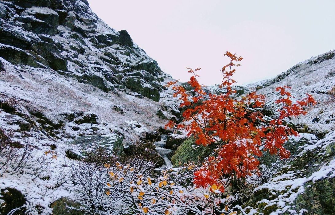 Last Of Autumn In Dumdalen