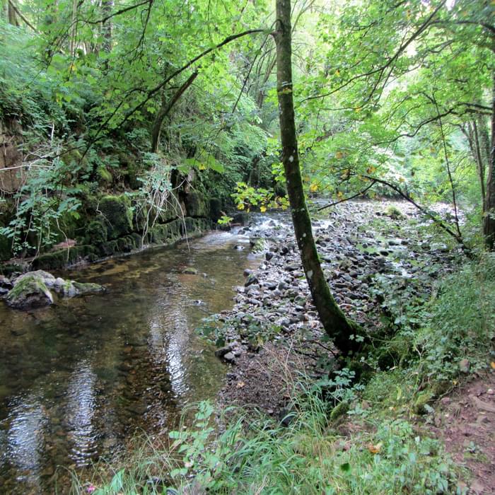 River Caldew In Dentonside Wood