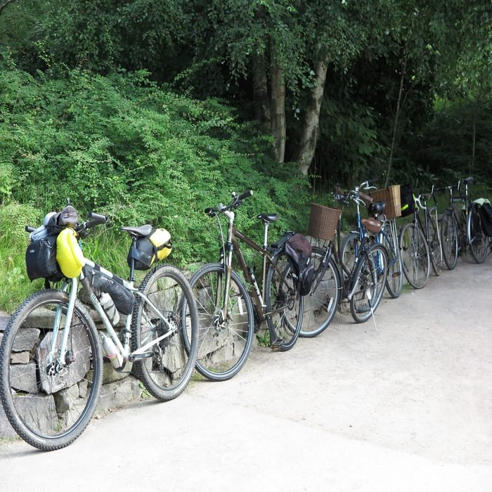 A row of bikes ready to go