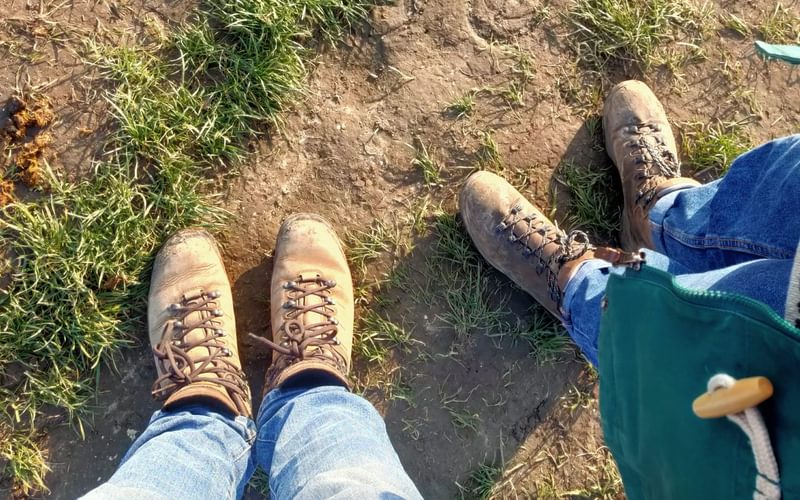 British Walking guidebooks | Cicerone Press