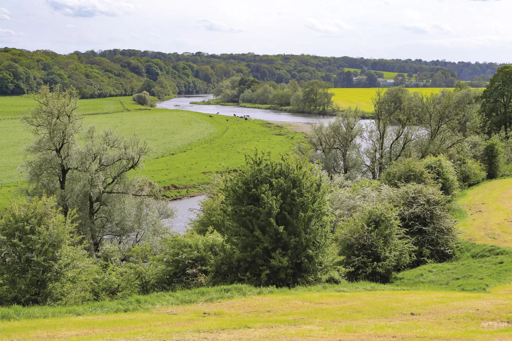 The Ribble Way: An Introduction and Top Tips | Cicerone Press