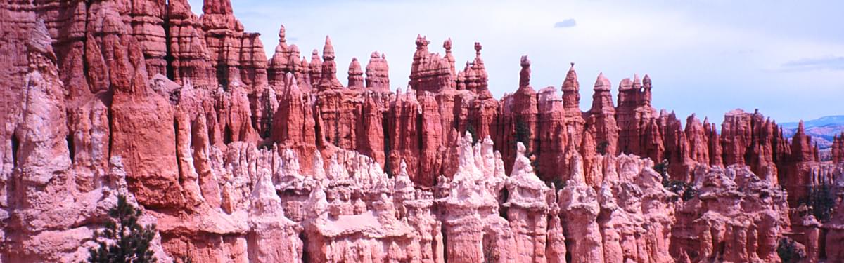 The Bryce Canyon