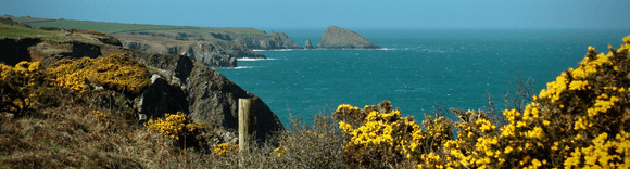 Win a FREE walking weekend on the Pembrokeshire Coast