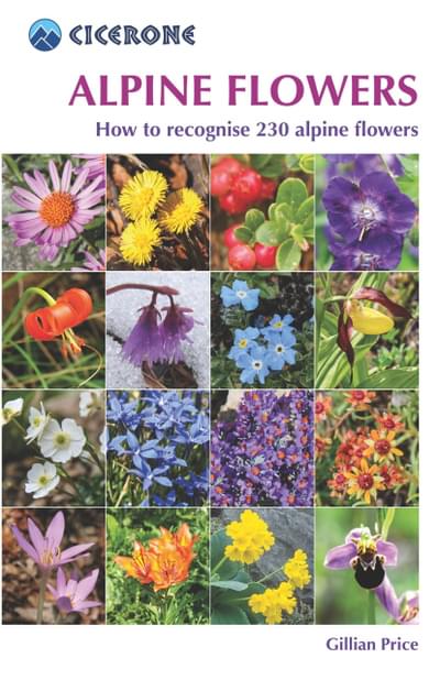 Alpine Flowers Guidebook