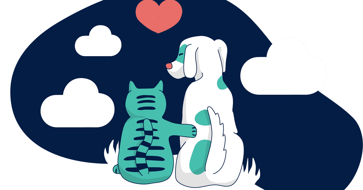 Customer Referral EzyVet