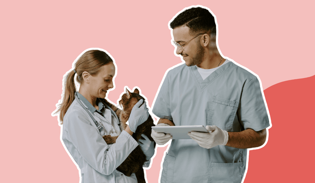 Tips for onboarding a new vet tech