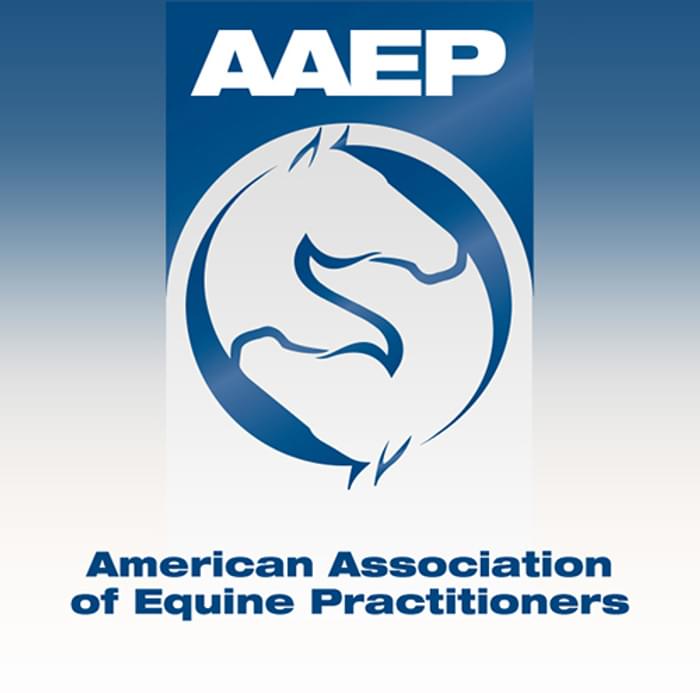 Aaep 2025 Convention Meaning Bert Marina