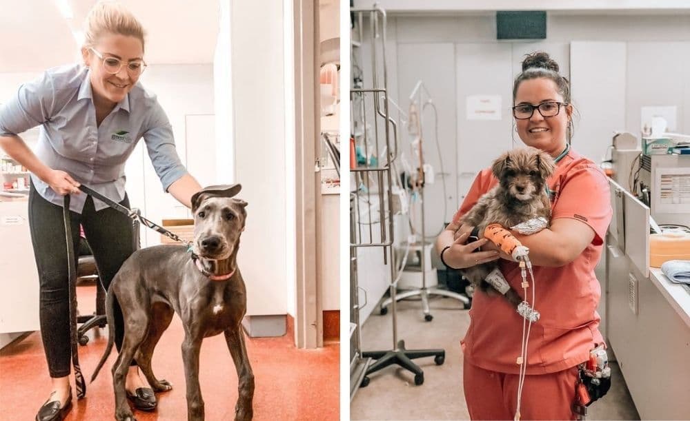 Greenhills Vet Hospital staff