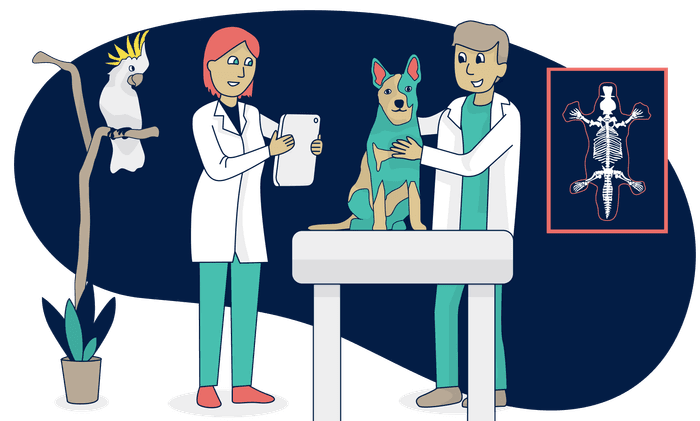 Animal body map images for veterinary professionals | ezyVet