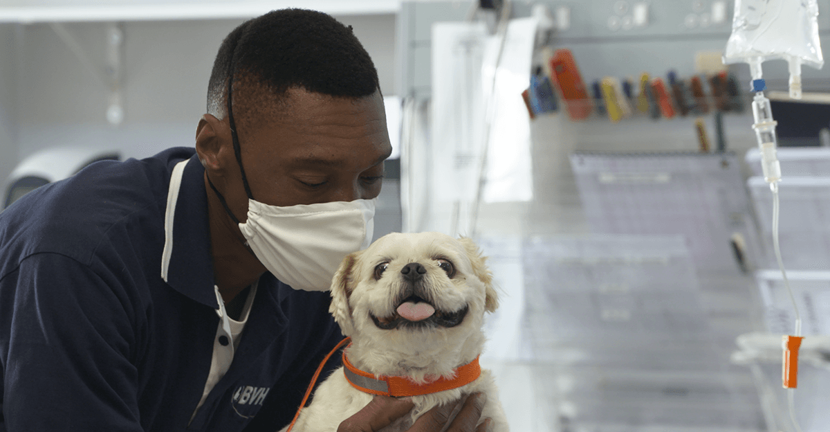 BVH vet and dog