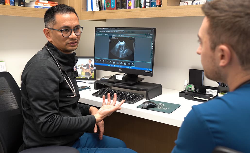 Vet using IDEXX imaging software