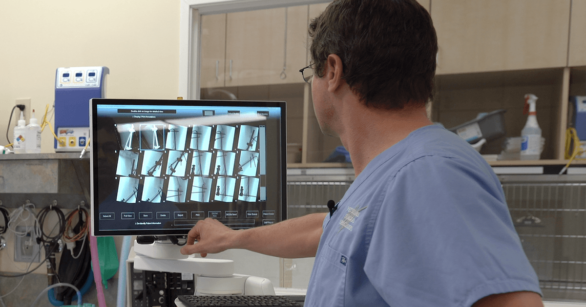 Going from a messy manual jumble to unified cloud-based software | ezyVet