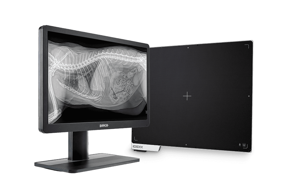 ImageVue DR30 Digital Imaging System