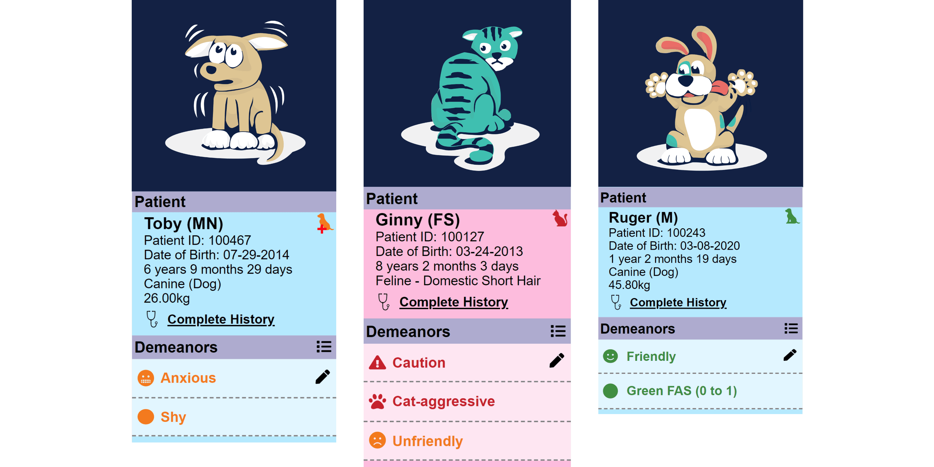 Demeanor Patient Record Examples