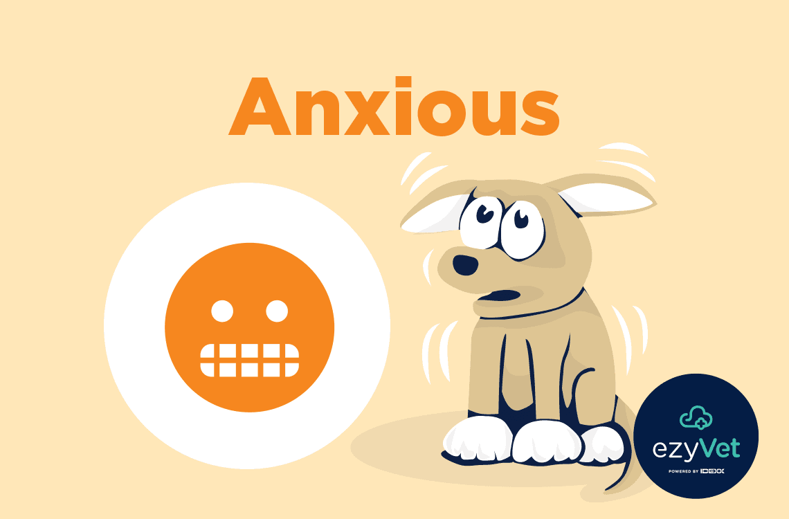 Free ezyVet Cage Card - Anxious