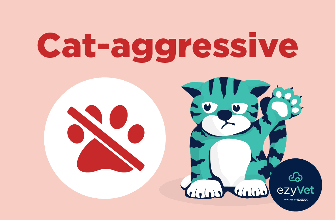 Free ezyVet Cage Card - Cat-aggressive
