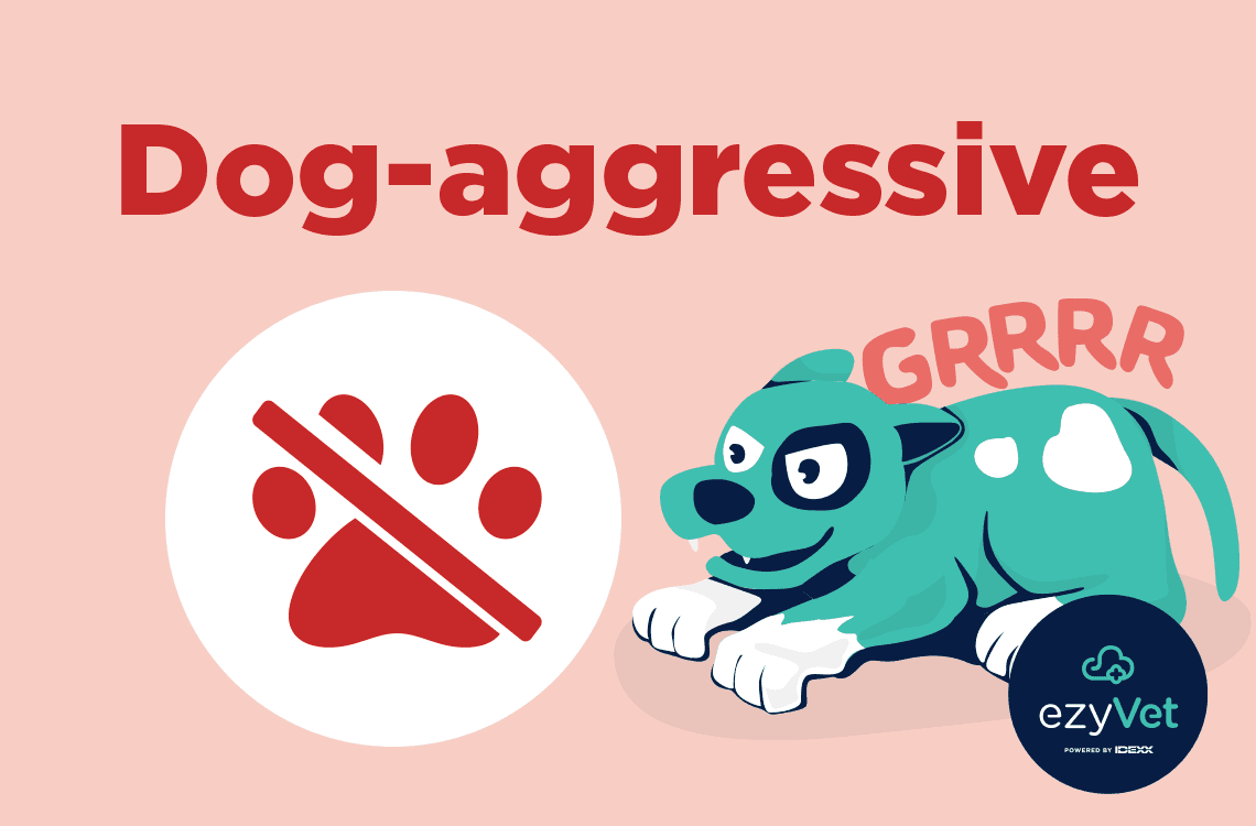 Free ezyVet Cage Card - Dog-aggressive