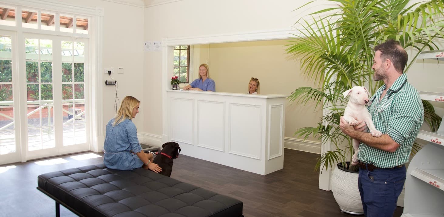 Front of House, Fremantle Animal Hospital