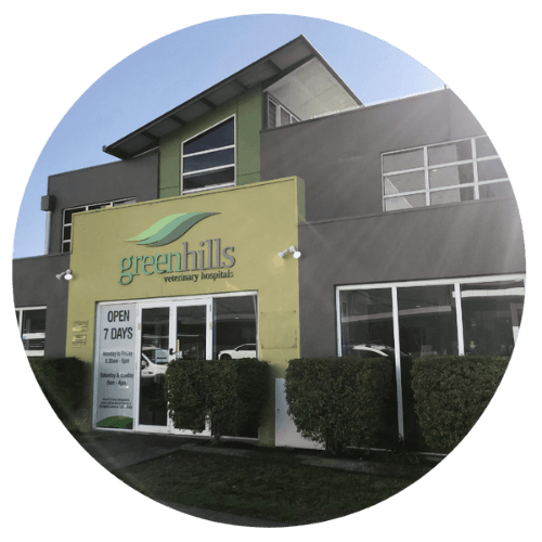 Greenhills Vet Hospital Openpay 500x500
