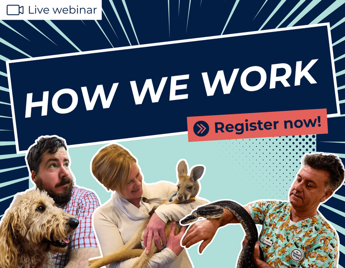 How we work: Customer-led live learning series | ezyVet