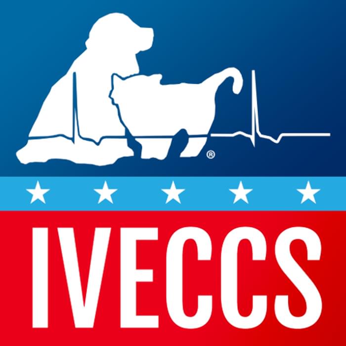 IVECCS Logo 500x500px