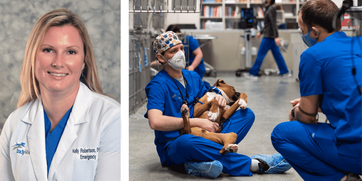 IndyVet-Kelly-Robertson-DVM-vet-staff-floor 1500x750