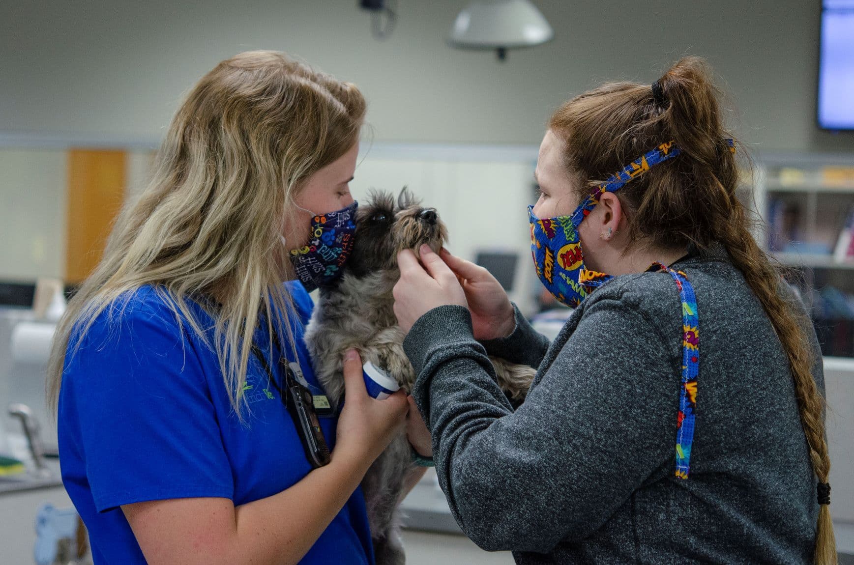 IndyVet vet nurse patient examination