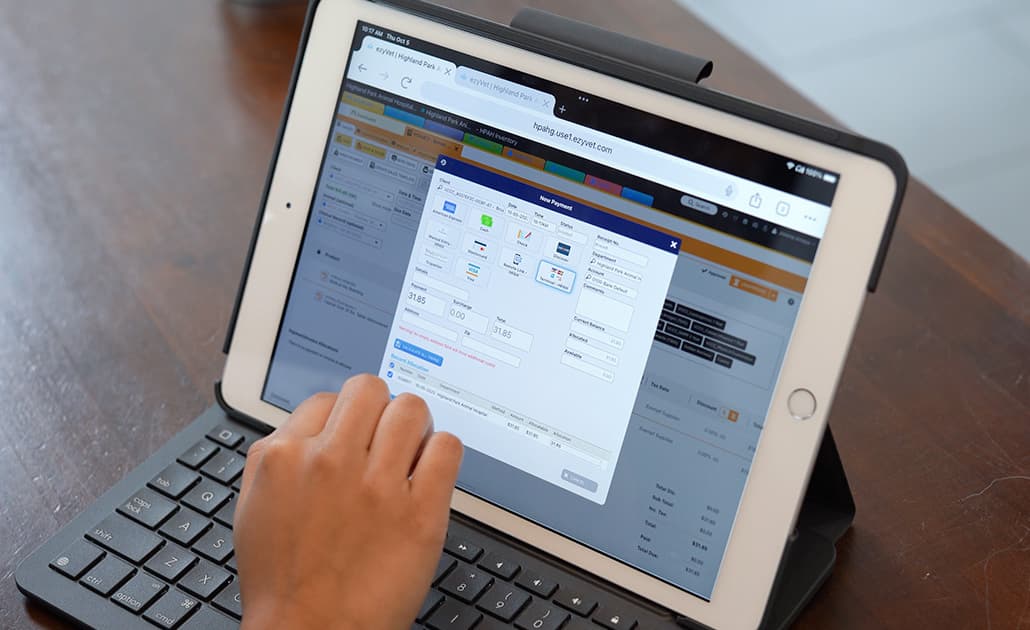 Accessing ezyVet on an iPad
