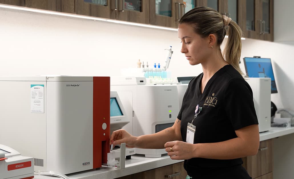 Vet staff processing diagnostics