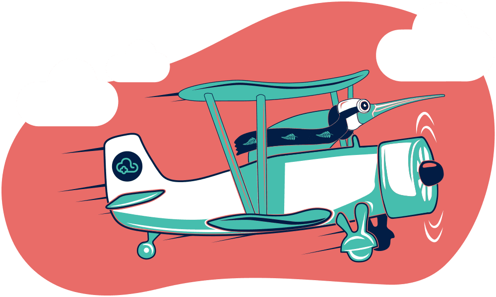 Kiwi flying in a plane